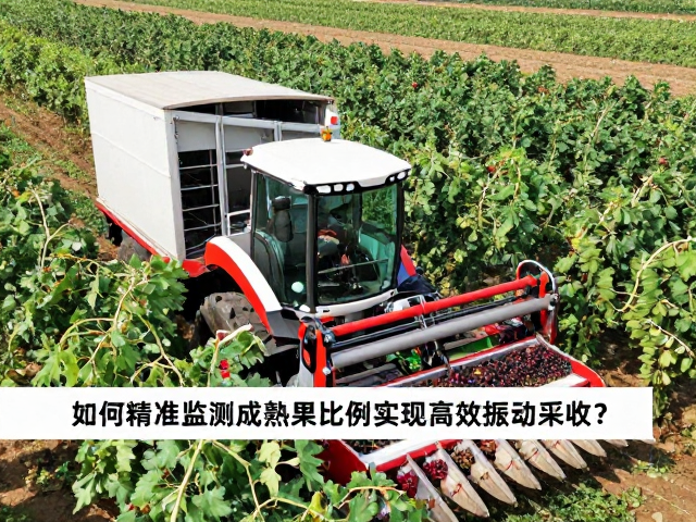 基于多源数据融合的成熟度评估模型