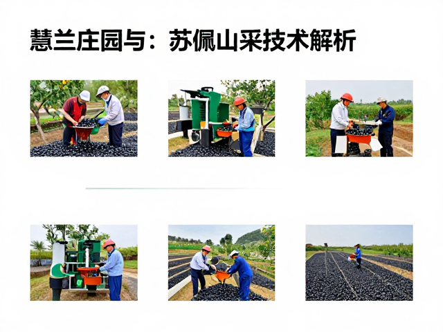 技术应用的综合效益与行业影响