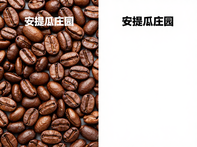 烘焙度下的风味演变与感官差异