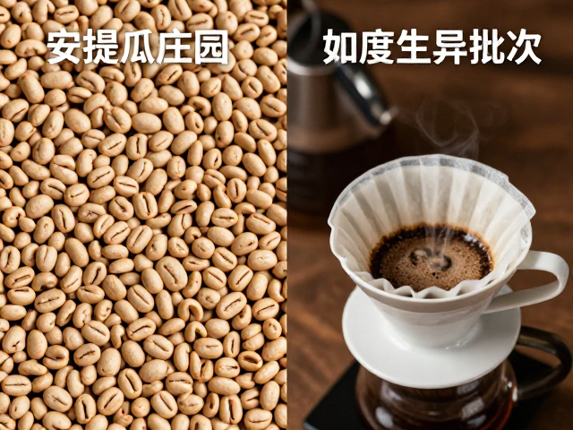 冲泡参数对风味呈现的从复现影响