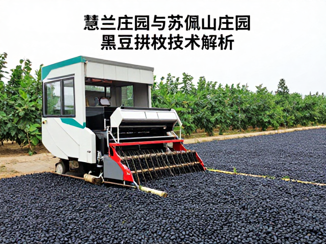 黑豆机械化采收的核心技术路径