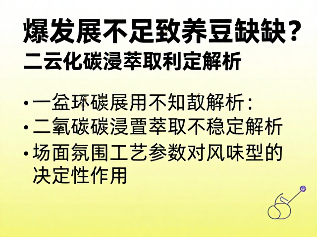 工艺参数对风味定型的决定性作用