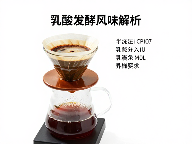 湿磨与半洗法中的乳酸介入机制
