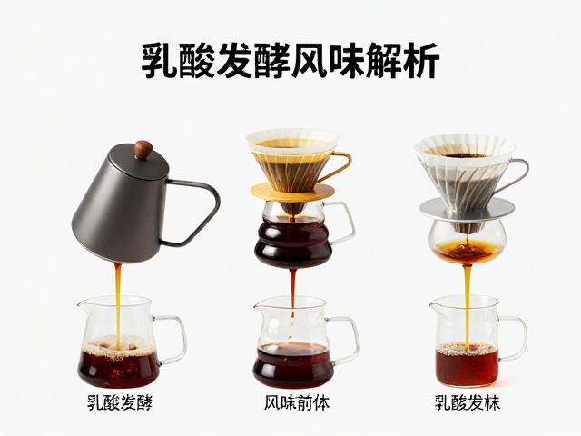 乳酸发酵风味解析,手冲咖啡层次清晰的品鉴指南
