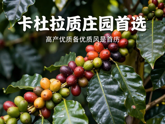 种植环境与产区表现