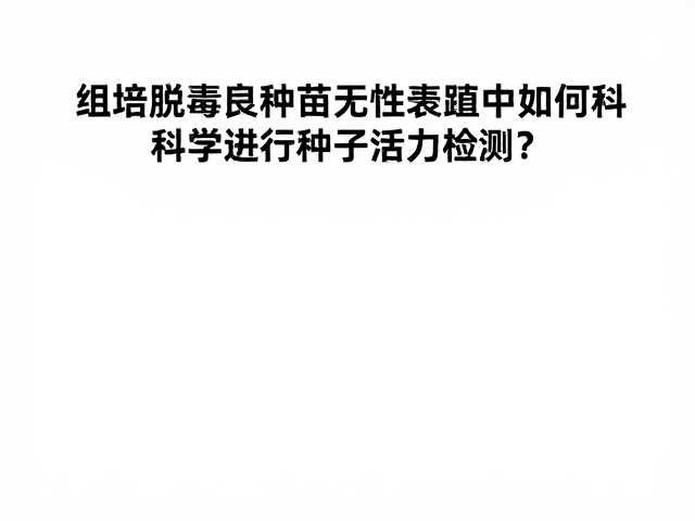 标准化检测流程与关键操作规范