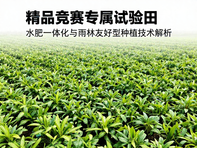 数据采集标准化与品质溯源体系