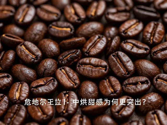 感官体验的差异与饮用场景适配