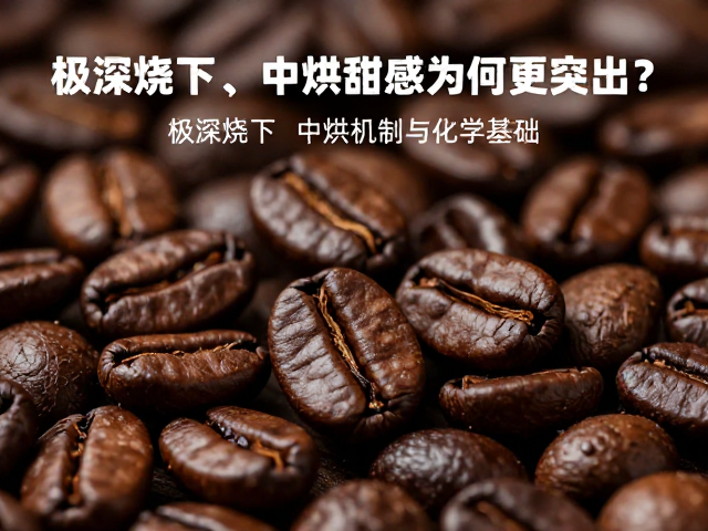中烘甜感的突出机制与化学基础