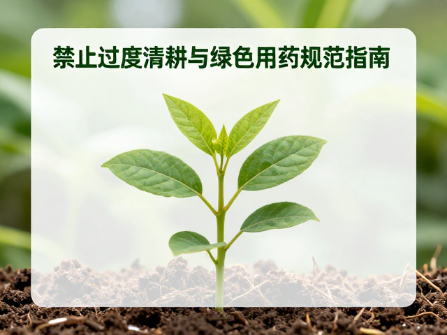 绿色生态种植,禁止过度清耕与绿色用药规范指南
