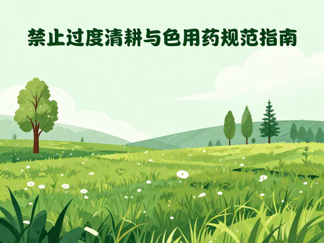 禁止过度清耕的技术规范与替代措施