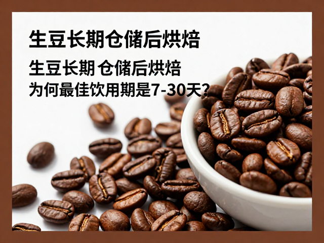 萃取参数对仓储豆风味的放大效应