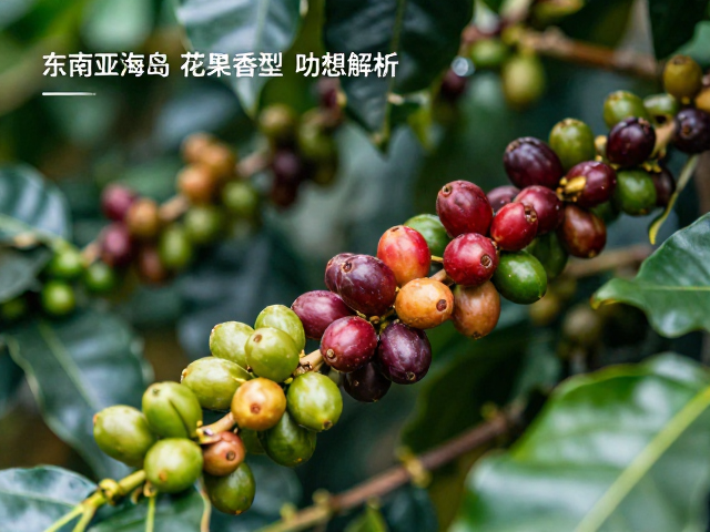 风味表现:花果香型的感官解析