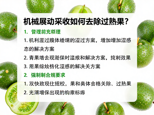 综合管理体系的构建与实施