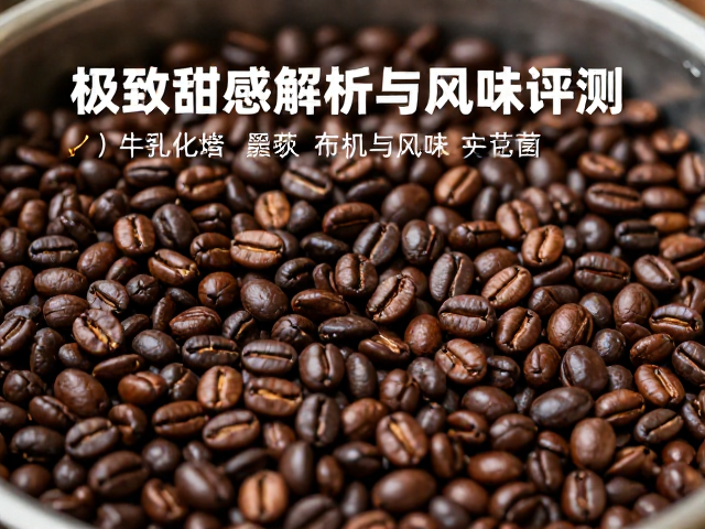 风味层次与冲泡建议
