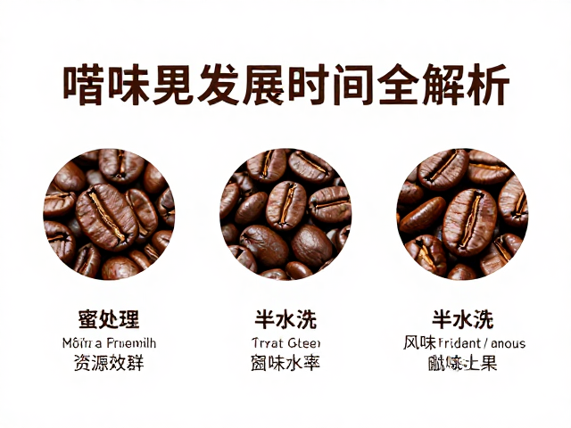 蜜处理与半水洗：风味密度与资源效率的折中