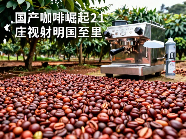 国产咖啡崛起，21世纪云南咖啡与意式浓缩机如何重塑市场格局