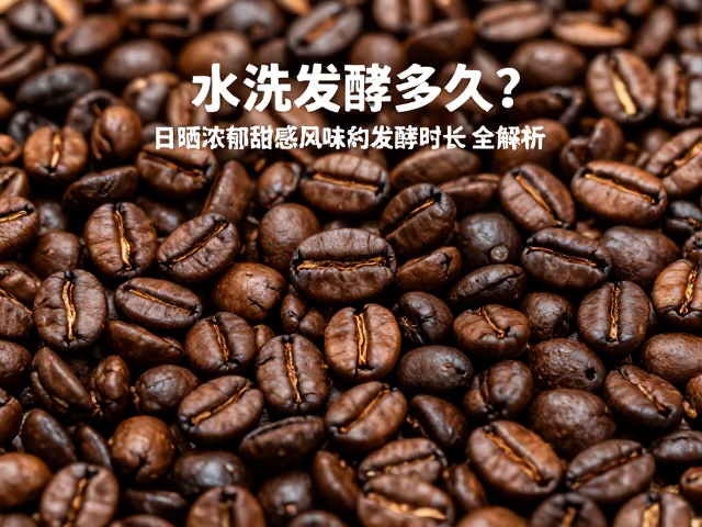 日晒风味与发酵时长的协同效应