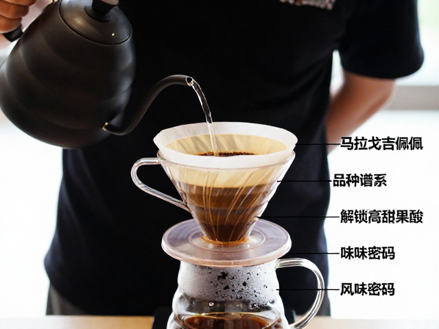 手冲萃取中的物理变量控制