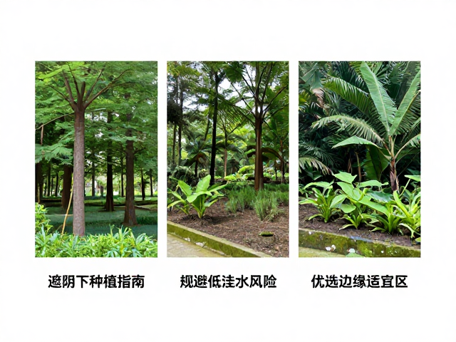 边缘适宜区的生态位选择策略