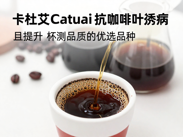 杯测品质表现与风味特征解析