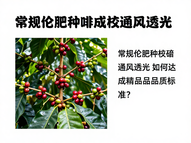 感官品质评估与标准化生产流程