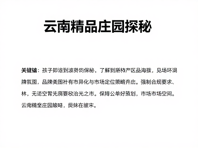 品牌差异化与市场定位策略