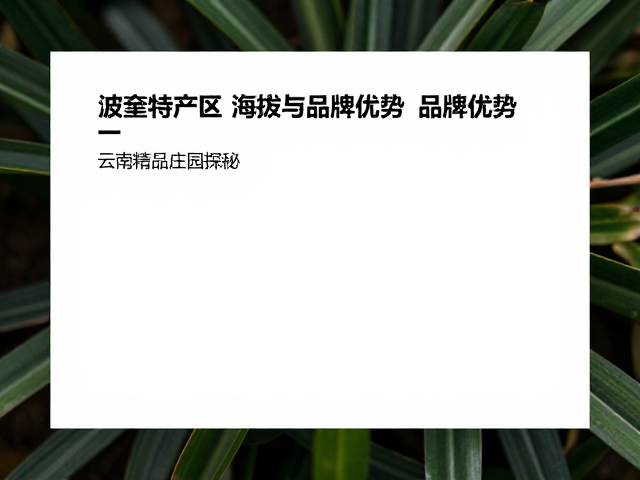 精品庄园的处理工艺与品质控制