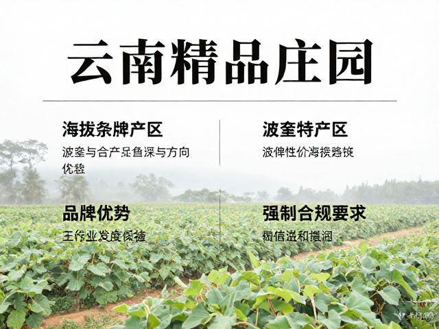 产业生态与可持续发展实践