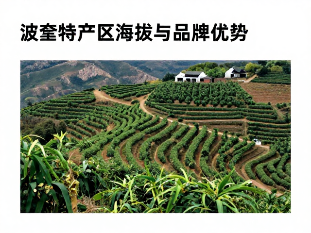 云南精品庄园探秘，了解波奎特产区海拔与品牌优势