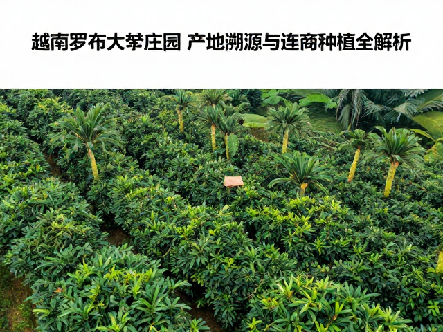 产地溯源体系与可追溯性管理