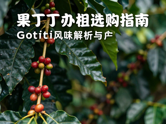 果丁丁合作社的种植管理与采摘标准