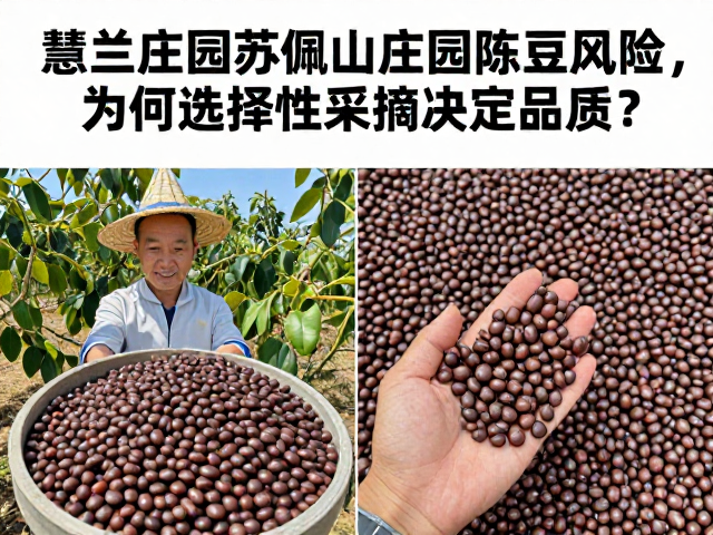 慧兰庄园与苏佩山庄园的陈豆原料溯源差异