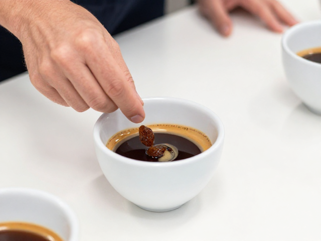 杯测与品鉴的标准化动作解析