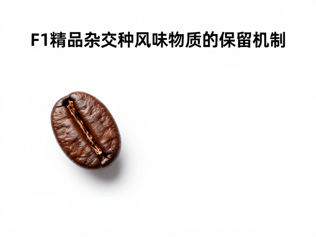 F1精品杂交种蜜处理,风味稳定性强,打造高品质咖啡核心