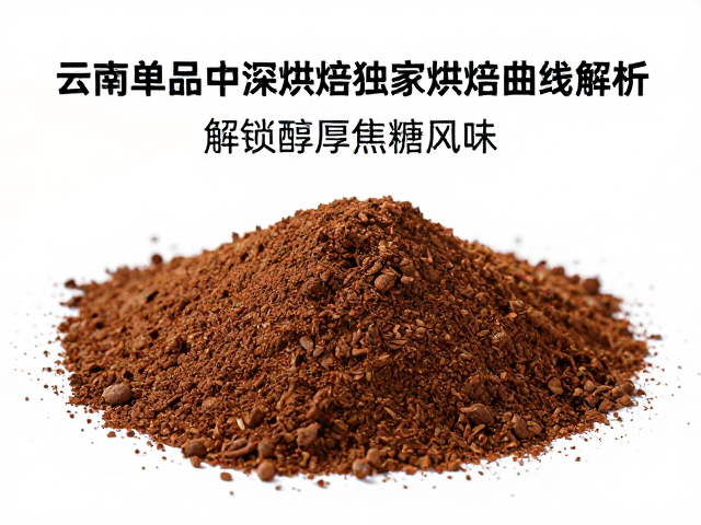 感官表现的深度解析