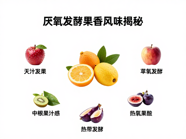 厌氧发酵果香风味揭秘,如何打造极致果汁感与热带水果酸