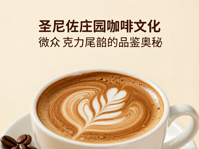微众巧克力风味的感官解析与品鉴逻辑