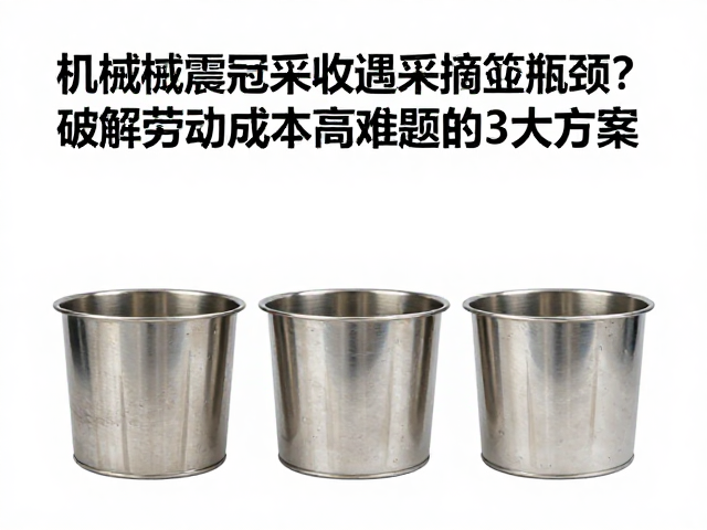 优化容器结构与材料应用