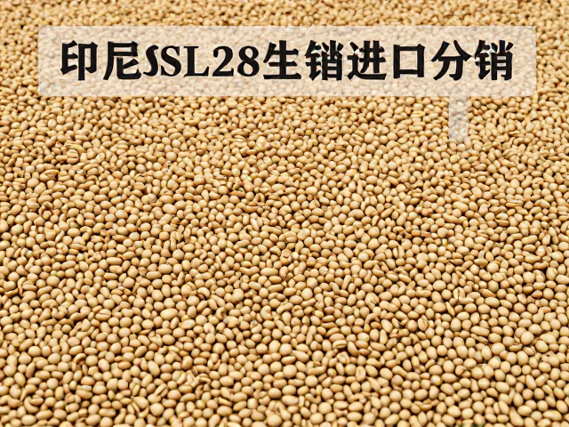 印尼SL28生豆进口分销的市场渠道逻辑