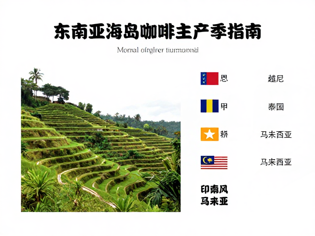 印尼海拔梯度与风味解析
