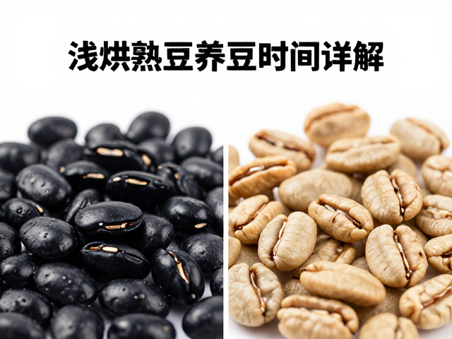 半烘焙熟豆用黑豆怎么养？浅烘熟豆养豆时间详解