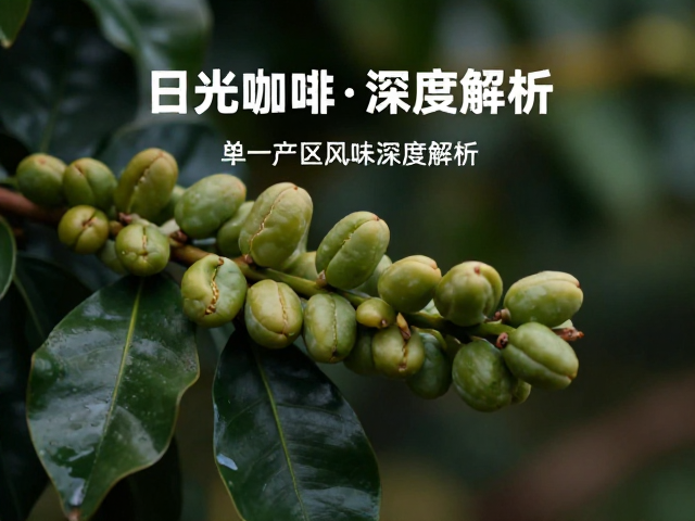 单一产区风味的地理决定性与微观环境
