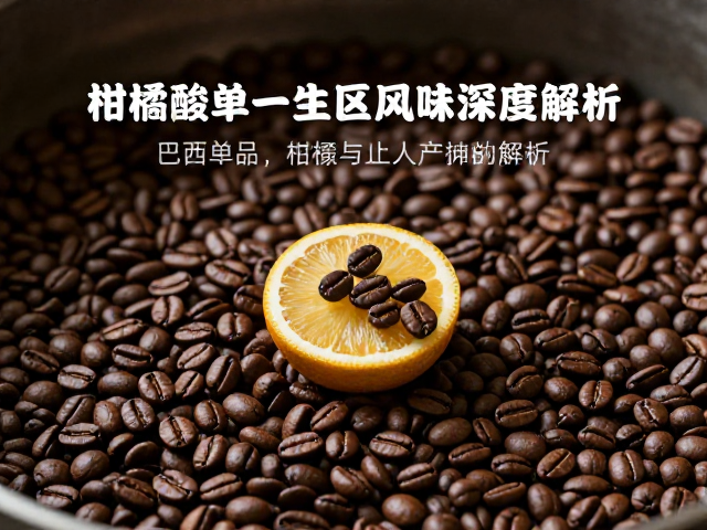 烘焙策略对柑橘酸质的呈现与平衡