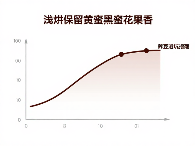 浅烘温度曲线与关键节点控制