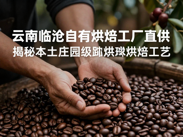 云南临沧自有烘焙工厂直供，揭秘本土庄园级咖啡烘焙工艺