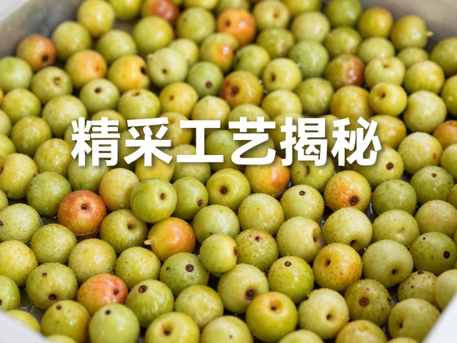 人工采摘熟果需浮选筛选,精采工艺揭秘