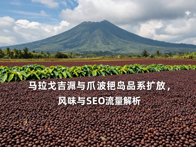 市场认知与流量解析