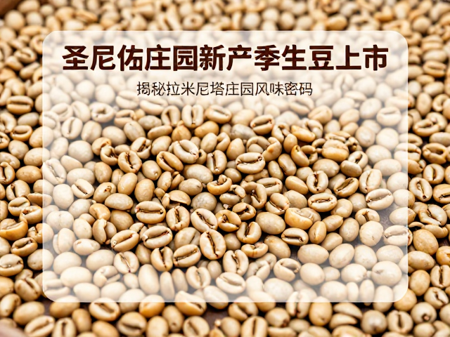 拉米尼塔庄园的风味特征解析