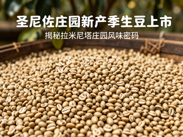 产区风土与种植管理的协同作用